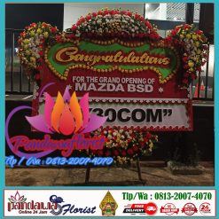 congrats 2
